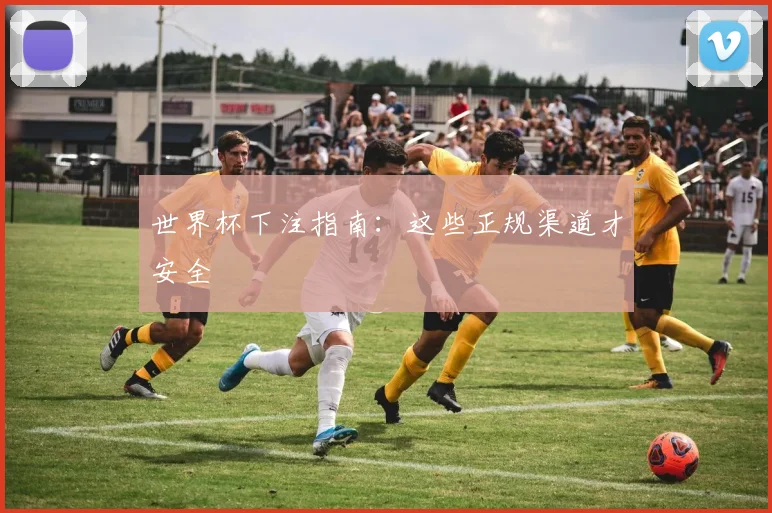世界杯下注指南：这些正规渠道才安全