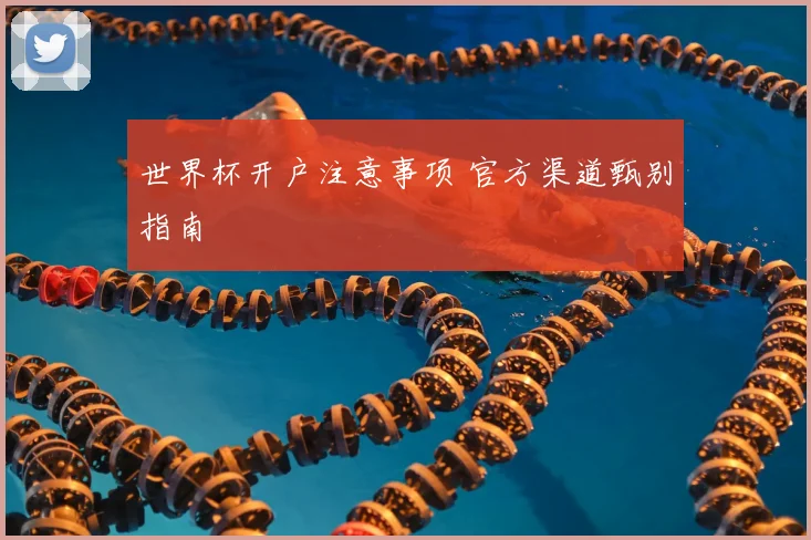 世界杯开户注意事项 官方渠道甄别指南