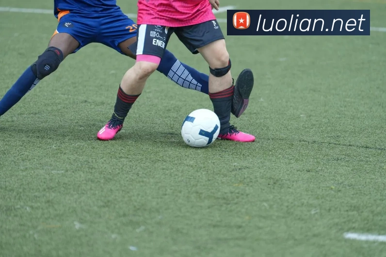 hth华体育官网发展历程